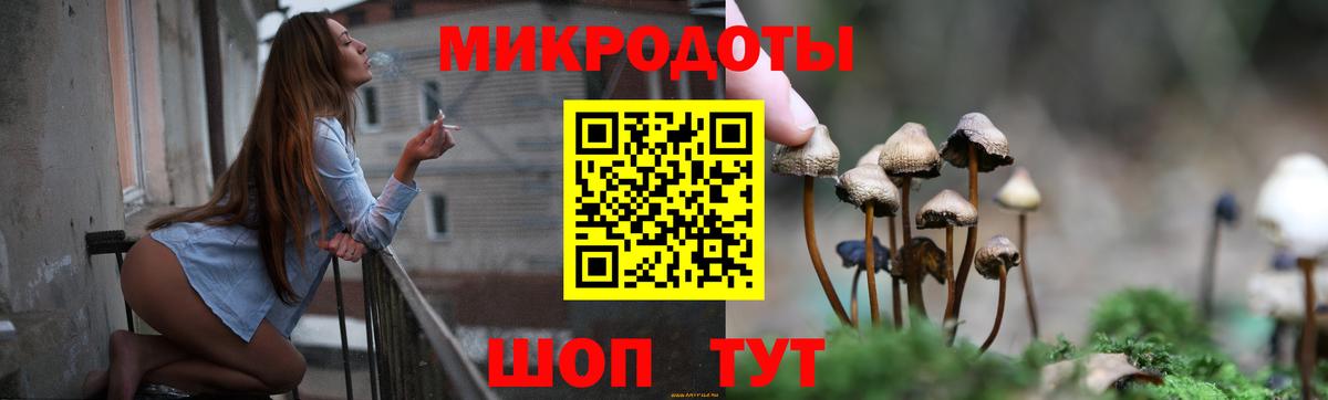 Псилоцибиновые грибы Psilocybe Лабытнанги